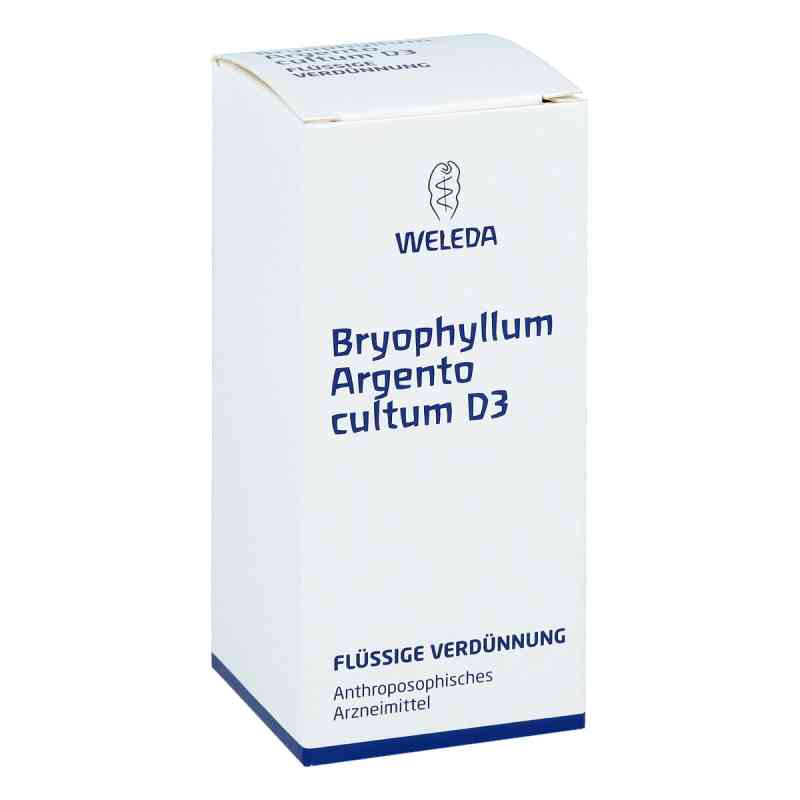 Bryophyllum Argento Cultum Dilution D 3 50 ml