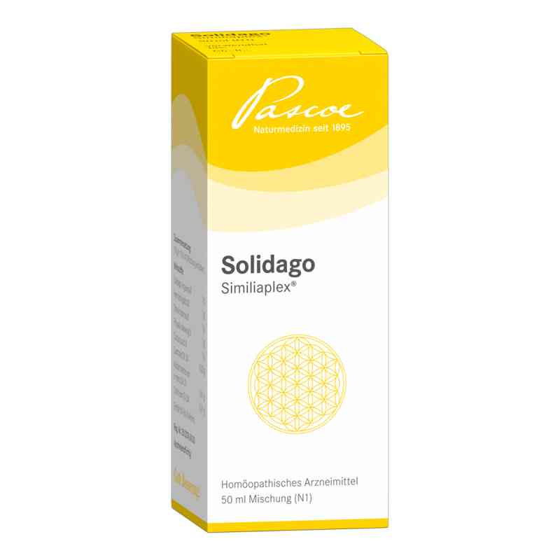 Solidago Similiaplex Tropfen 50 ml od Pascoe pharmazeutische Präparate GmbH PZN 05463785