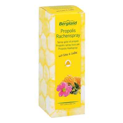 Bergland spray z propolisem 20 ml od Bergland-Pharma GmbH & Co. KG PZN 12489006