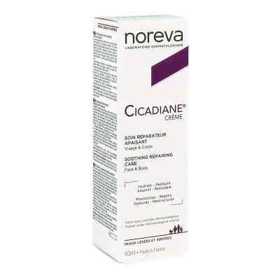 Cicadiane Creme 40 ml od Laboratoires Noreva GmbH PZN 14033836