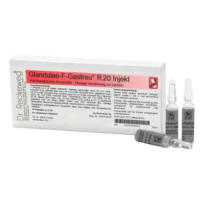 Glandulae F Gastreu R 20 Injekt Amp. 10X2 ml od Dr.RECKEWEG & Co. GmbH PZN 02496666