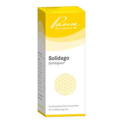 Solidago Similiaplex Tropfen 50 ml od Pascoe pharmazeutische Präparate GmbH PZN 05463785