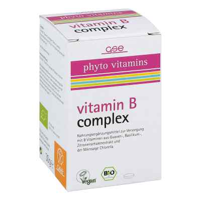 Vitamin B Complex bio tabletki 60 szt. od GSE Vertrieb Biologische Nahrungsergänzungs- & Hei PZN 11096693