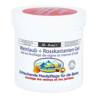 Weinlaub+rosskastanien-gel 250 ml od ALLPHARM Vertriebs GmbH PZN 10550285